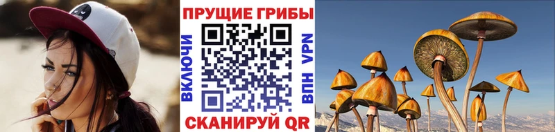 Галлюциногенные грибы мухоморы  даркнет телеграм  Шарья 